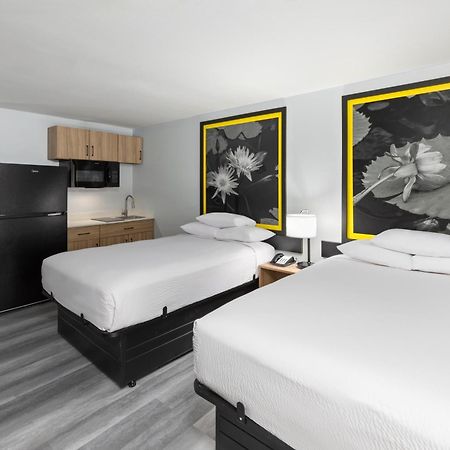 Super 8 By Wyndham Alexandria La Hotel Buitenkant foto